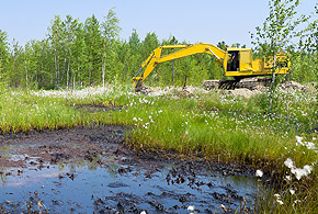 Hydrocarbon based soils